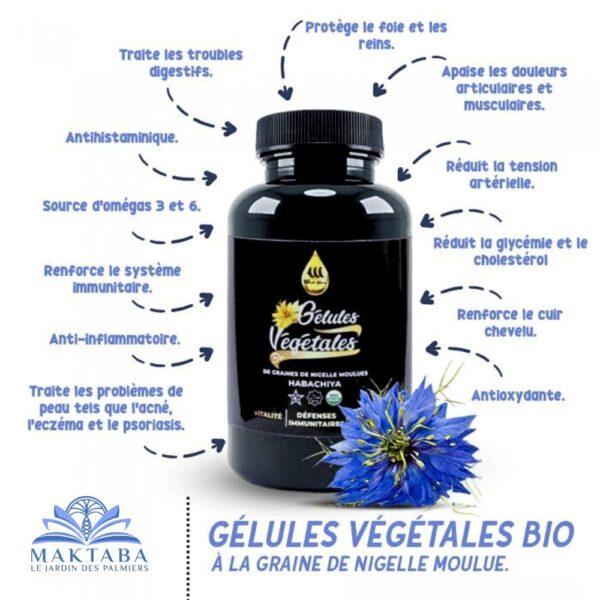 Gélules de Nigelle d’Éthiopie – 60 gélules végétales – Wadi Shibam